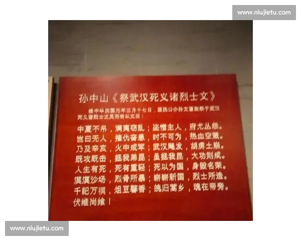这一幕太震撼:见证历史瞬间,情感与力量的极致碰撞